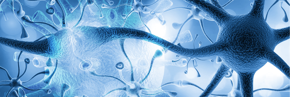 curso programação neurolinguistica